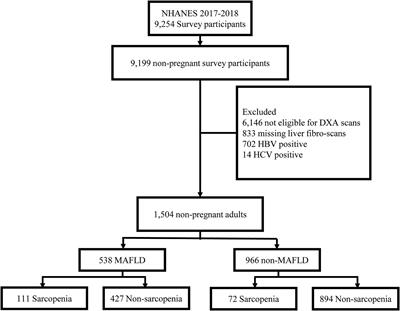 Diet was less significant than physical activity in the prognosis of people with sarcopenia and metabolic dysfunction-associated fatty liver diseases: Analysis of the National Health and Nutrition Examination Survey III